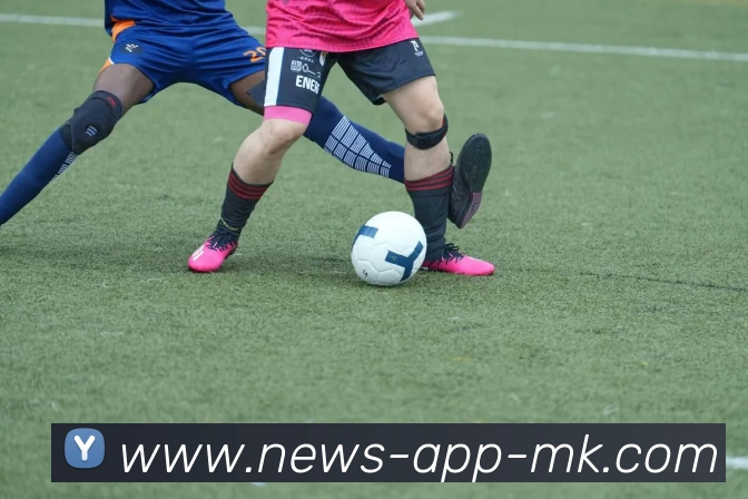 MK体育发展历程